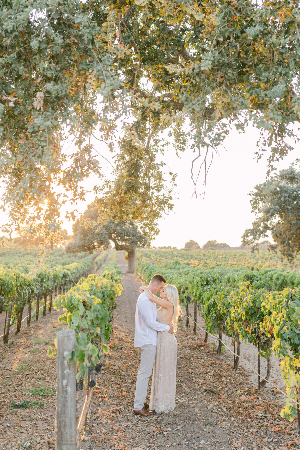 Couple beneath an oak at the edge of a vineyard