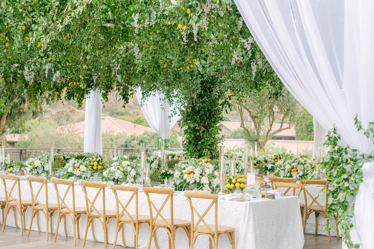 Reception tables beneath a draped canopy and citrus trees
