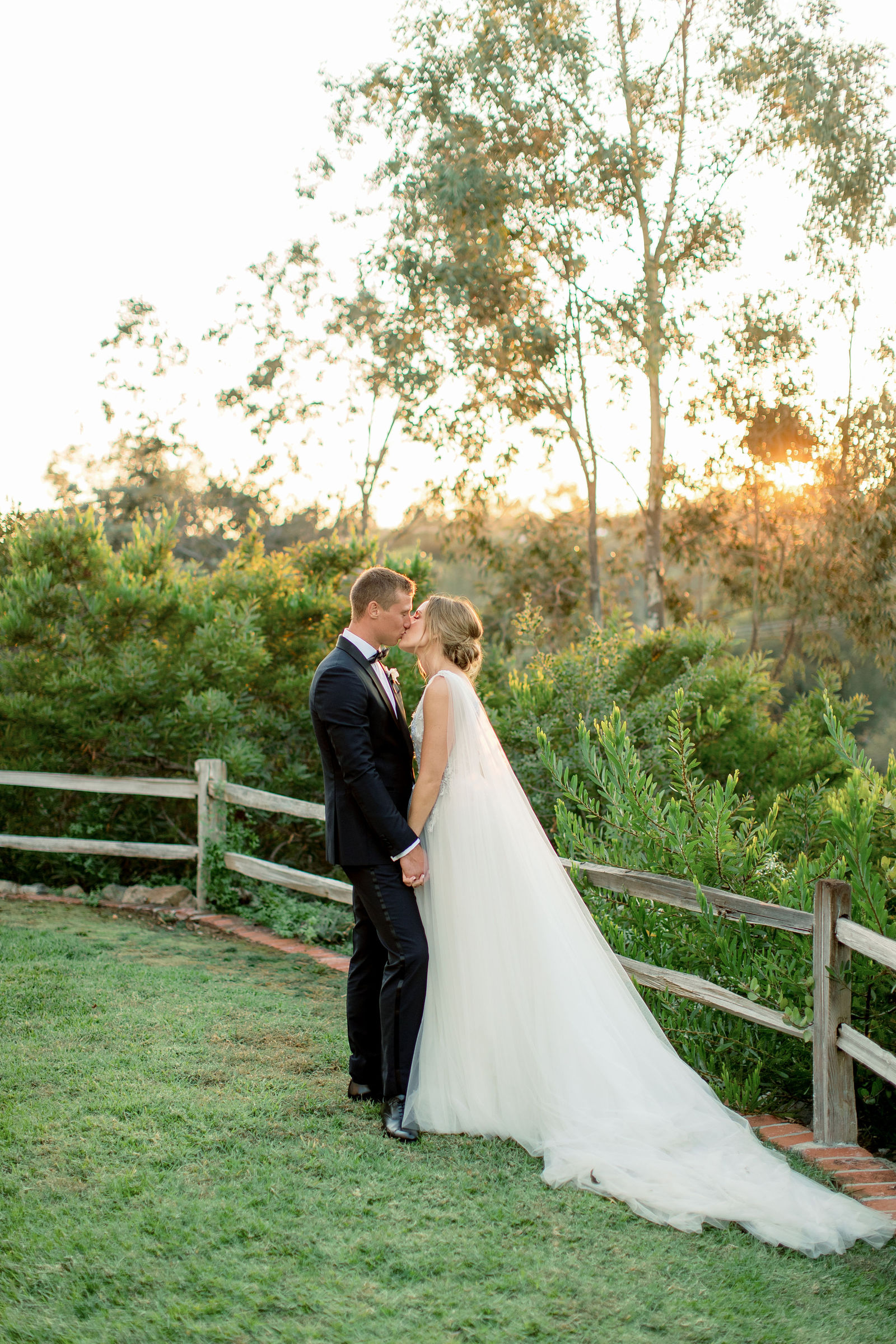 A kiss in the vineyard at last light