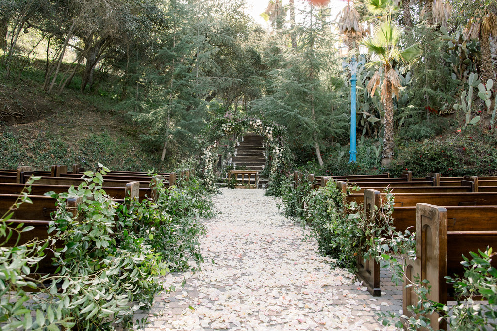 Petals and wooden benches beneath the oak canopy