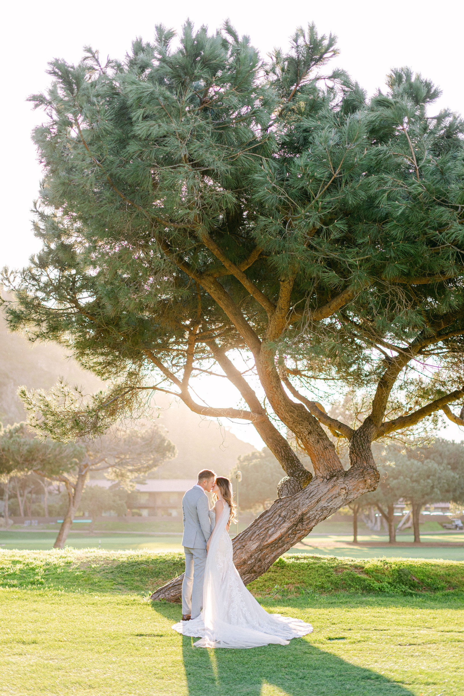 A couple beneath a great tree on the lawn at The Ranch at Laguna Beach at sunset