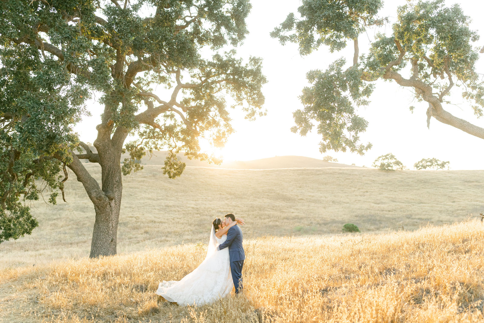 A kiss beneath the oaks at last light in the Santa Ynez hills