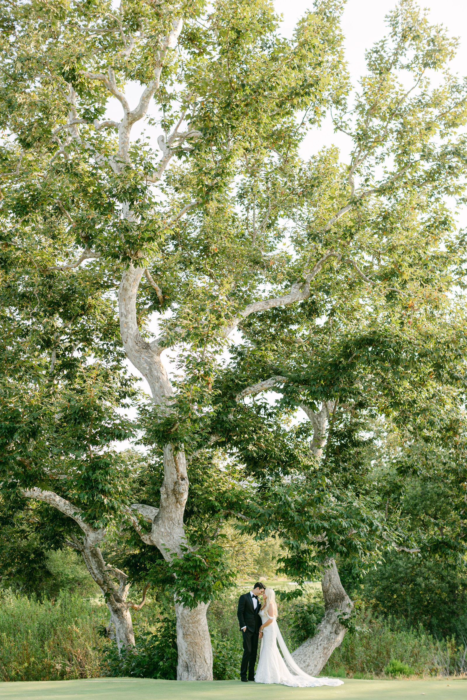 A couple beneath the sycamores at Shady Canyon Golf Club in Irvine