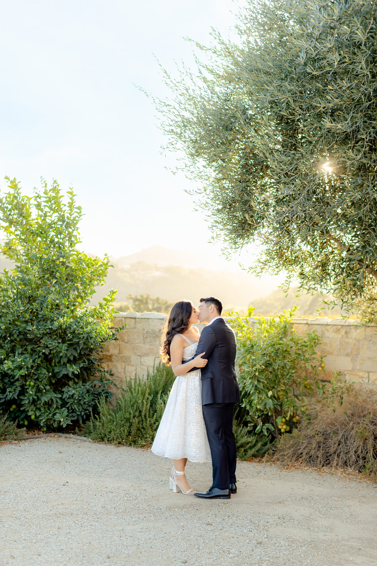 Couple beneath olive trees on an estate path